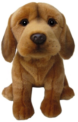 Zoll ungarischer vizsla - ungarischer,
