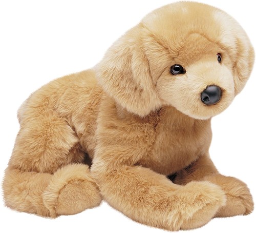 Douglas honey golden retriever - douglas,