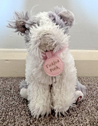 Kitzelnder rosa hund - kitzelnder,