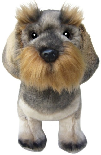 Zoll drahthaar dackel teddy - zoll,