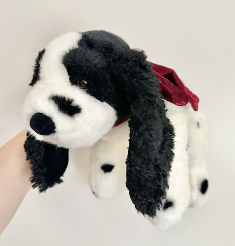 Russ springer spaniel - russ,