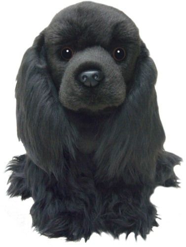 Black cocker spaniel - black,
