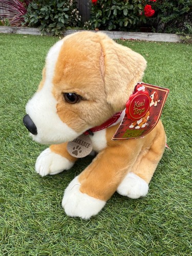 Keel doodle hunde jackabee - keel,