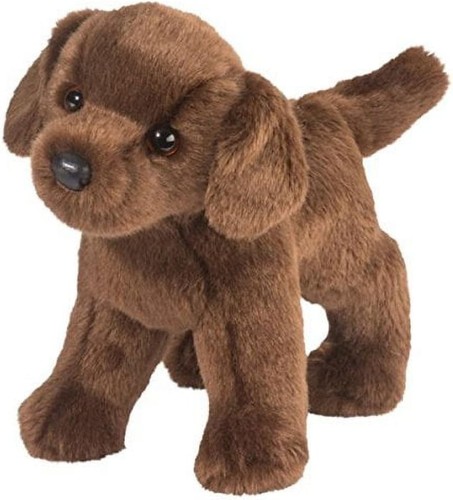 Douglas tucker chocolate lab - tucker,