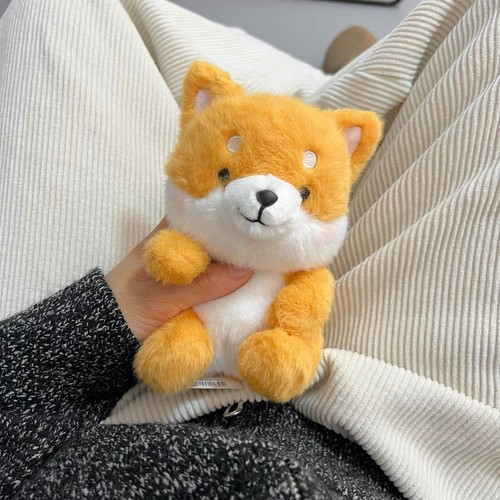 Shiba inu hund - inu,