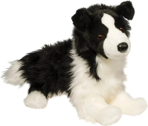 Chase border collie hund - border,