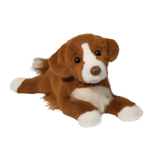 Douglas rush duck tolling - duck,