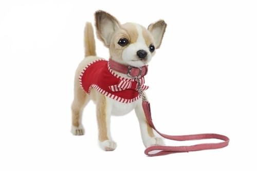 Hansa chihuahua roter jacke - hansa,
