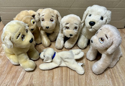 Konvolut andrex labrador - konvolut,