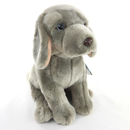 Weimaraner plüschtier - weimaraner,