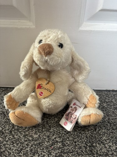 Trudi bussi hund - trudi, welpe