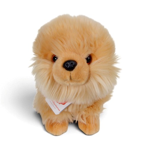 Teddy hermann pomeranian welpe - pomeranian,