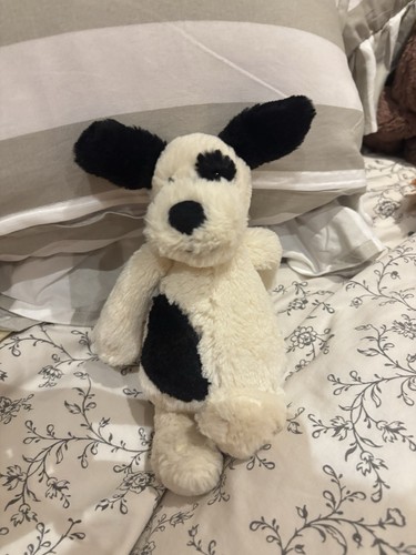 Kleiner bashful - kleiner,