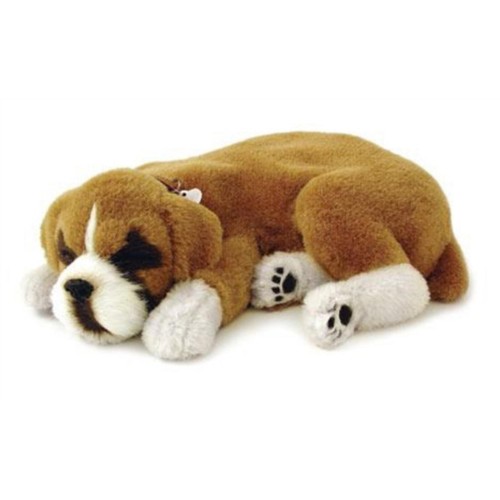 Precious petzzz atemboxer - precious,