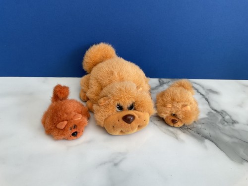 Gallob pound puppies chow - gallob,