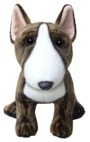 Zoll english bullterrier - 12,