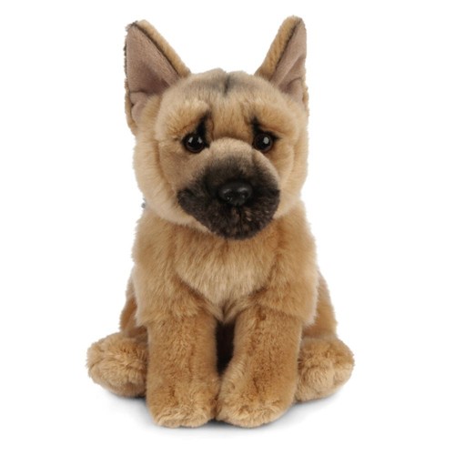 Deutscher schäferhund - deutscher,