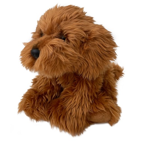 Cockapoo cavapoo labradoodle - cavapoo,