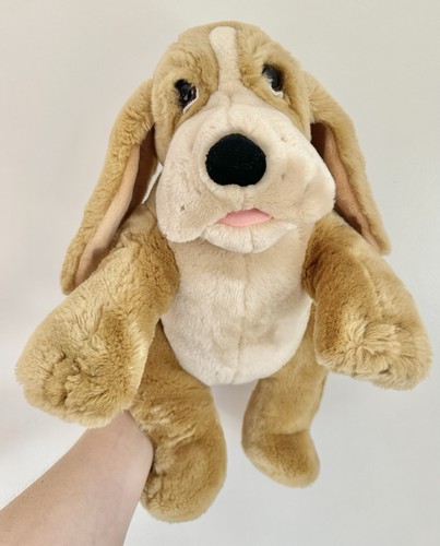 Bassett hound hund - bassett,