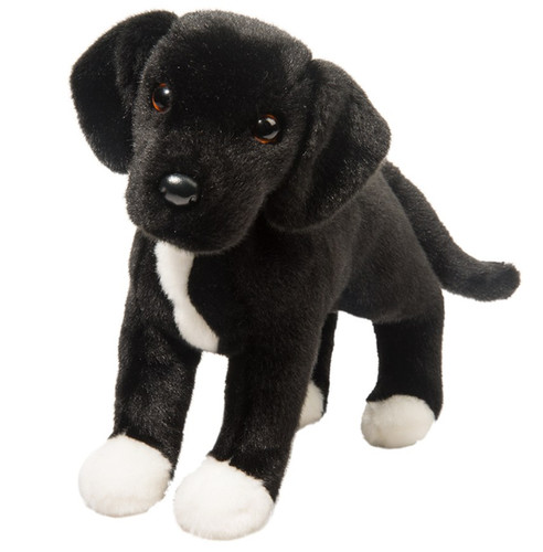 Douglas twister black - black, lab/pit