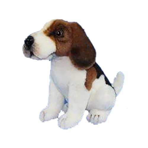 Hansa beagle hund - hansa,