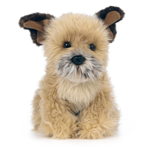 Border terrier hund - border,