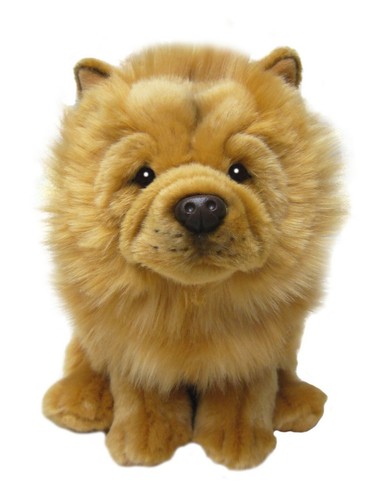 Zoll chow teddy - 12,