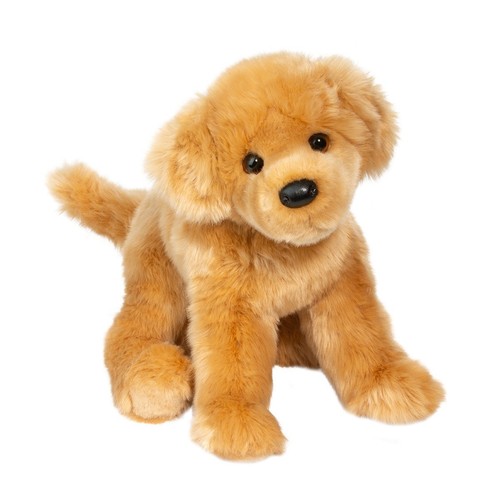 Douglas bella golden - golden, retriever