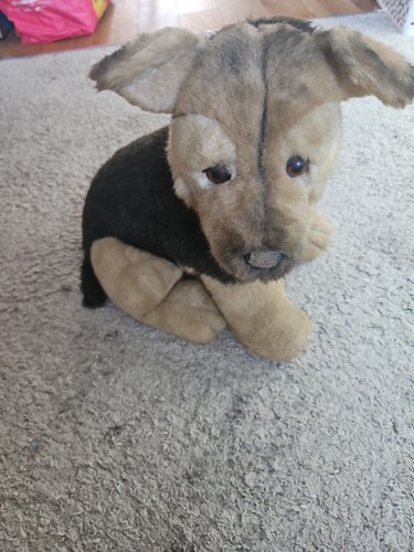 Avanti deutscher schäferhund - deutscher,