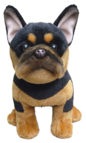 Black tan französische - &,