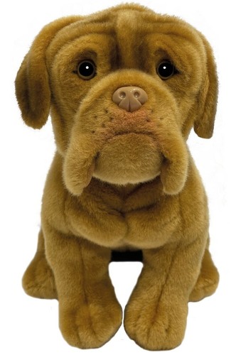 Bordeauxdogge teddy dogues - teddy,
