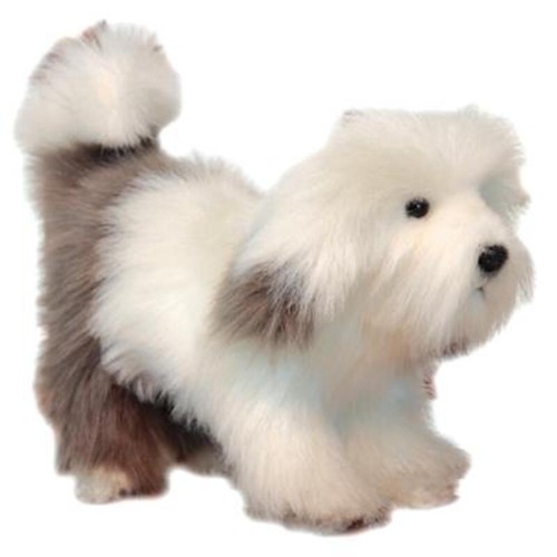 Hansa schaf hund tier - schaf,