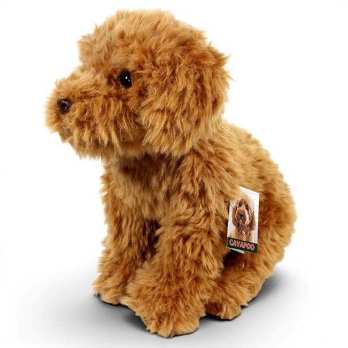 Faithful friends cavapoo - friends,