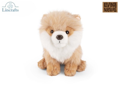 Pomeranian welpe plüschtier - pomeranian,