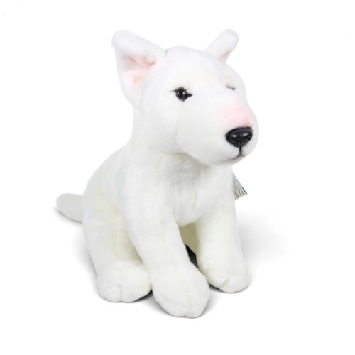 Weißer bullterrier - weißer,