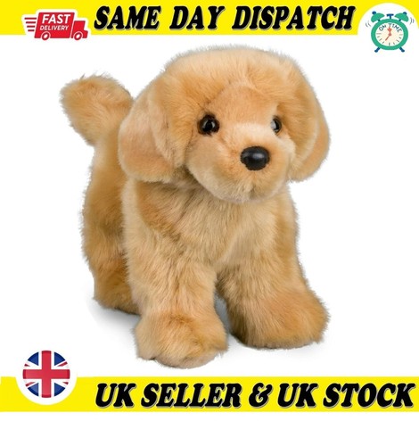 Douglas chap golden retriever - chap,