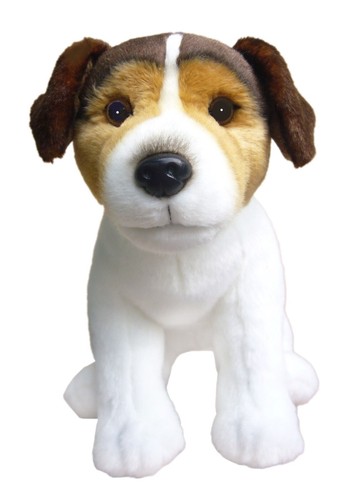 Jack russell dreifarbiges - russell,