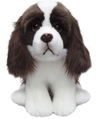 English springer spaniel - english,