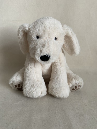 Cremefarbener welpe hund - cremefarbener,