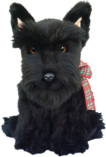 Scottish terrier teddy scottie - scottish,