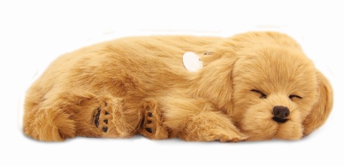 Precious petzzz breathing - petzzz,
