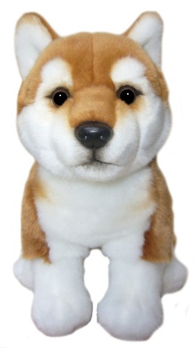 Zoll shiba inu teddy - 12,
