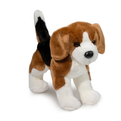 Douglas bernie beagle hund - beagle,