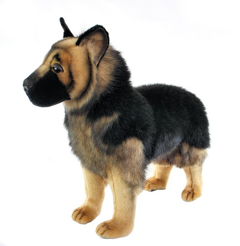 Hansa deutscher schäferhund - hansa,