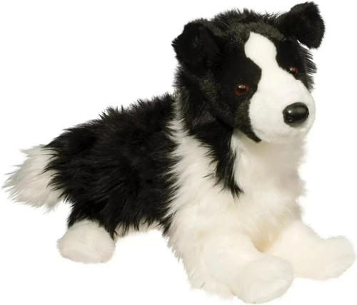 Chase border collie - border,