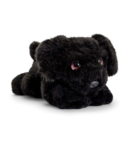 Keel signature cuddle - keel, puppy