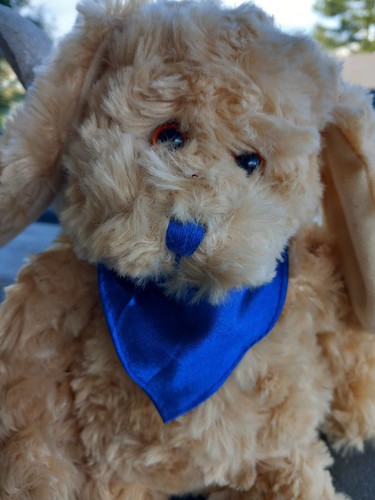 Pluschhund neu mit - neu, 32