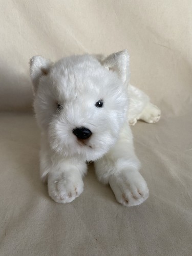 Suki west highland terrier - suki,