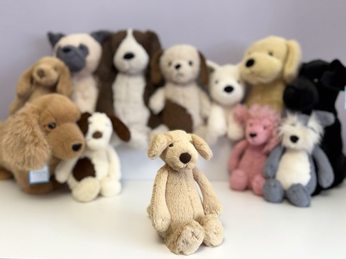 Jellycat sehr selten