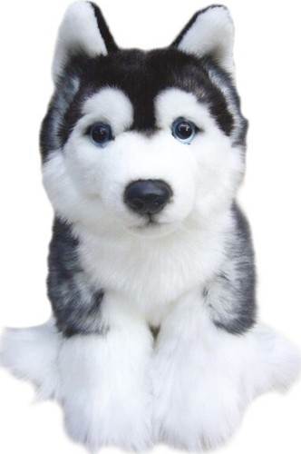 Faithful friends siberian - friends,